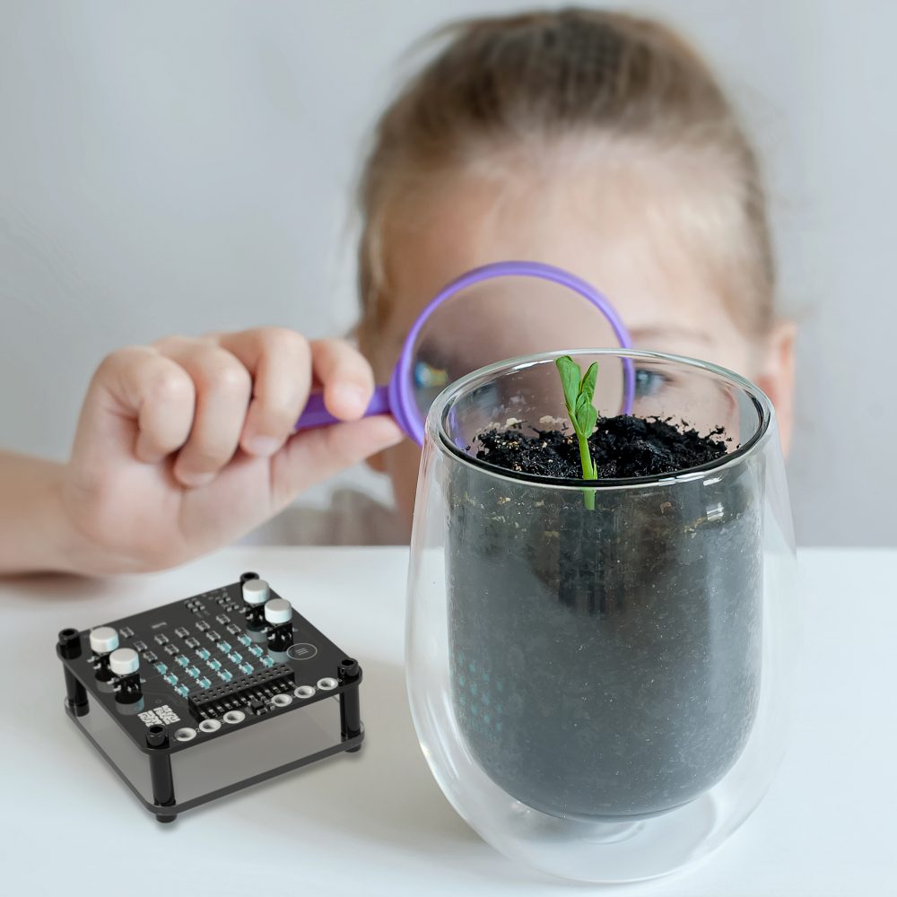 Young girl studies small plant in elementary science class. Child holding magnifying glass. Caring for a new life. The child's hands. Selective focus. Earth day holiday concept. World Environment Day