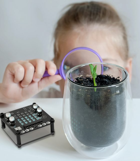 Young girl studies small plant in elementary science class. Child holding magnifying glass. Caring for a new life. The child's hands. Selective focus. Earth day holiday concept. World Environment Day