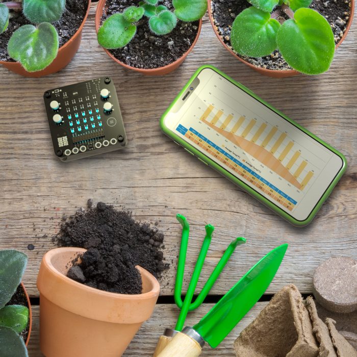 Several flowerpot of houseplant, equipment for pot plants. Flowerpot with ground and bulbs of spring flowers. Copy space for text. Top view, flat lay.